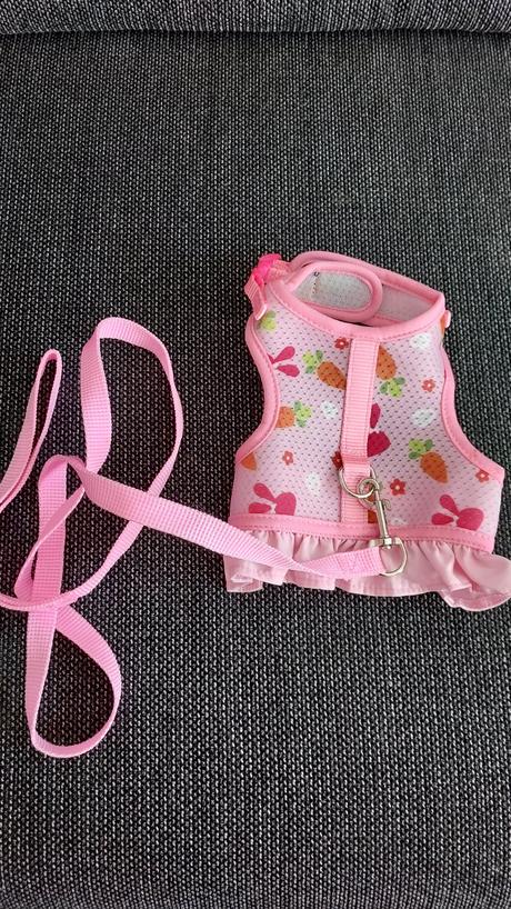 Oblečenie pre zajka, 