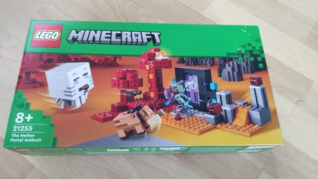 Lego minecraft 21255, 