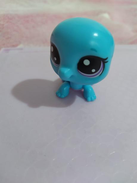 Korytnačka zvieratko, 