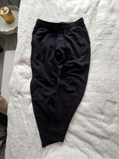 Pánske tepláky f4, l