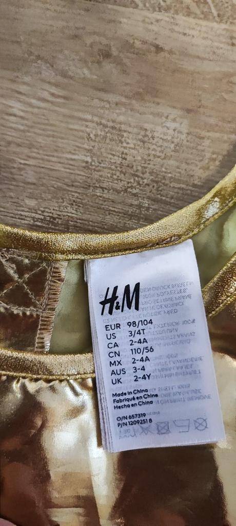 Karnevalový kostým,