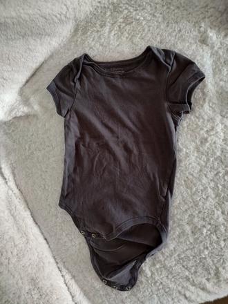 Body, fox & bunny,86