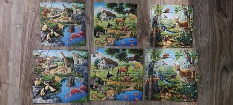 Puzzle 3 v 1 pre 5+, 