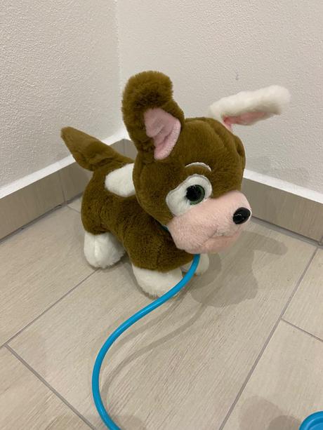 Predám psíka na vodítku, 