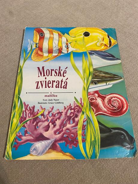 Morské zvieratá v malíčku text judy nayer ilus,