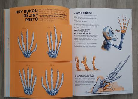 Ci je to kostra nova, 