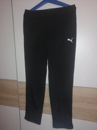 Teplaky puma, puma,158