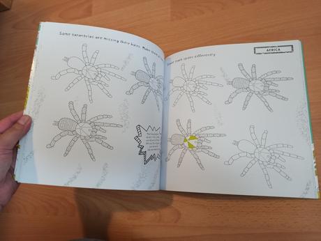 Picture wild wonders s nalepkami,