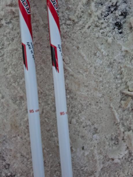 Lyžiarske palice 95cm, 95 cm