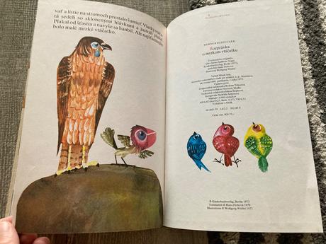 Rozprávka o mrzkom vtáčatku-prvé vyd.1979,