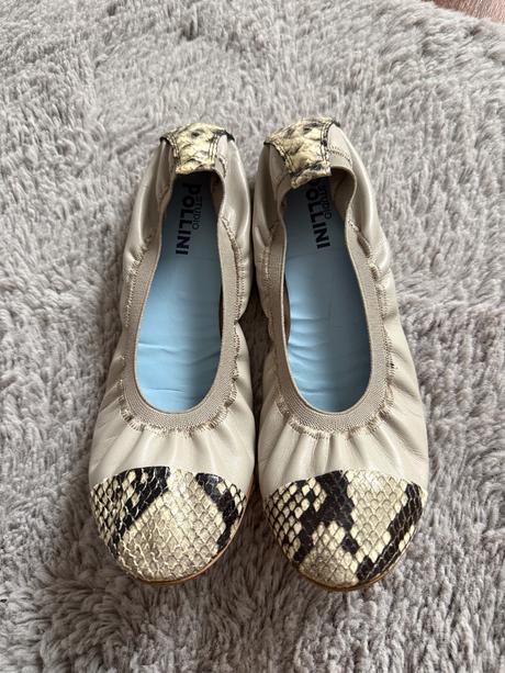 Baleriny pollini, 38