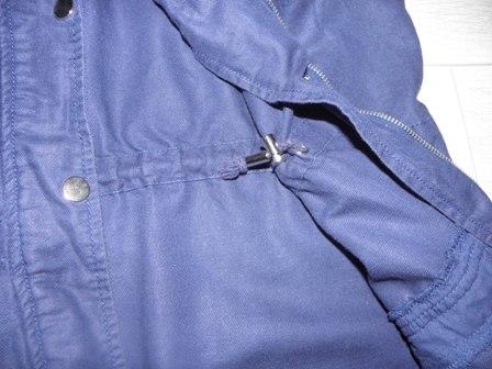 Vesta stradivarius, stradivarius,s