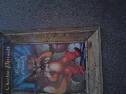 Kocúr v čižmách ô,