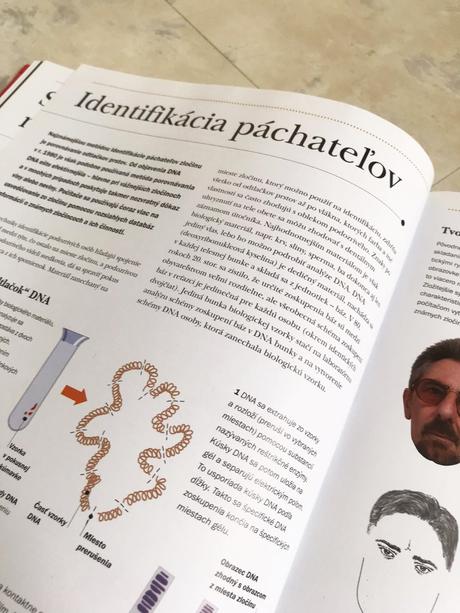 Ako dnes fungujú veci,