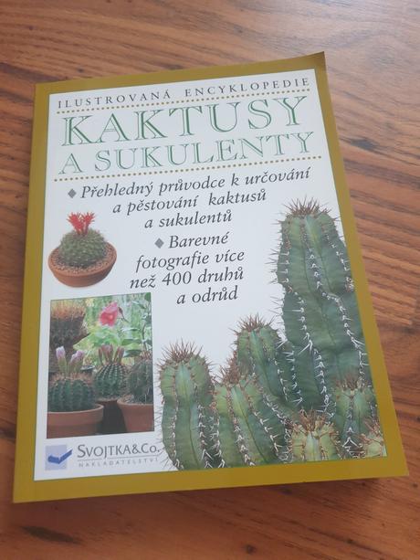 Kaktusy a sukulenty,