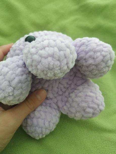 Veľká chobotnička, 