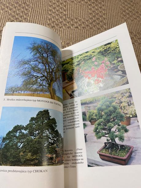 Miloslav ryšán  bonsaj, 