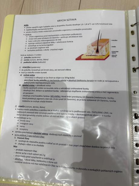 Biológia maturita-ľudské telo, sústavy človeka, 