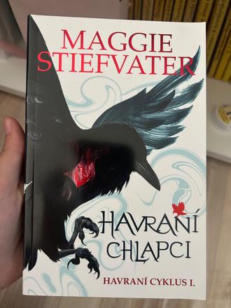 Havraní chlapci,