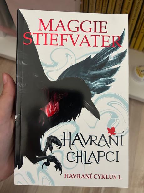 Havraní chlapci, 