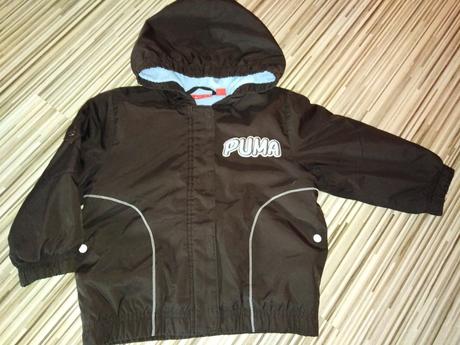 Bunda puma, puma,86