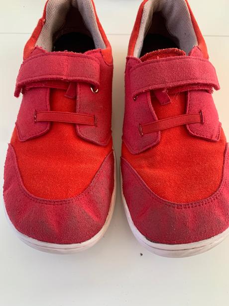 Blifestyle crocodile, 36