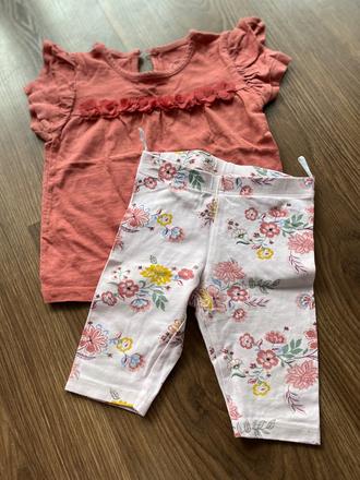 Súprava palomino, palomino,74