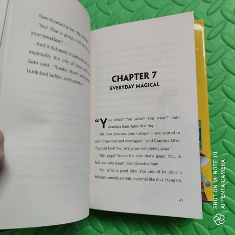 David baddiel birthday boy 400 stran, 