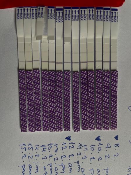 Negatívne ovulačné testy