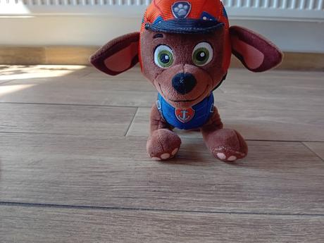 Paw patrol, 