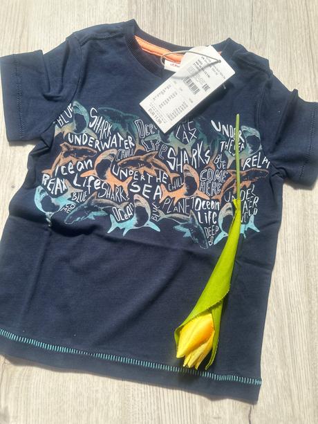 Chlapčenské tričko shark s.oliver, h&m,92 / 98
