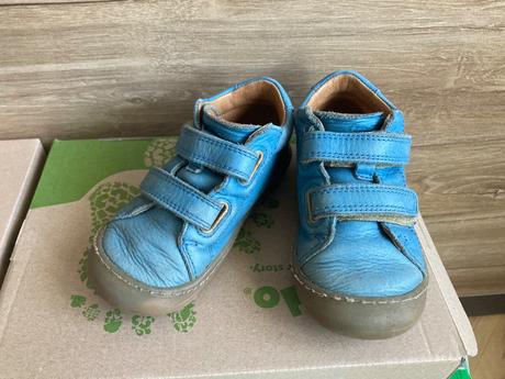 Froddo ollie, froddo,23