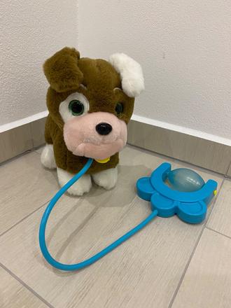 Predám psíka na vodítku, 