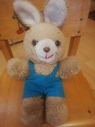 Zajko v nohavickach, 