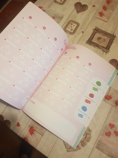 Denník  pre deti s problémom kakania, 