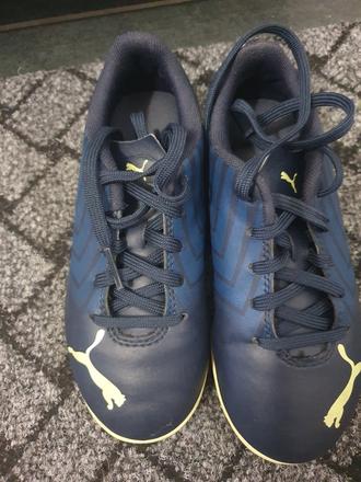 Halovky, puma,29