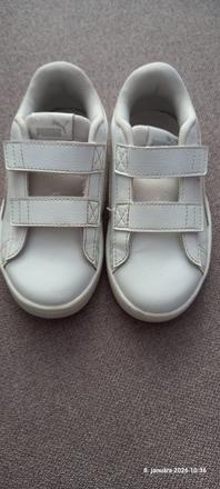 Puma tenisky, puma,28