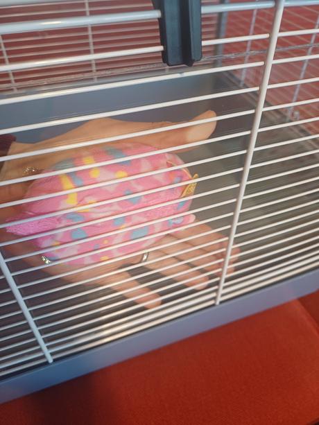 Klietka pre škrečka, 