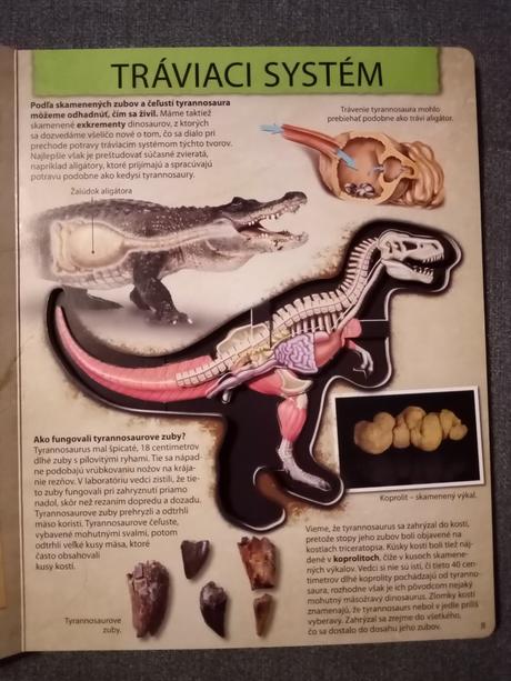 Pozrite sa do útrob dinosaura tyrannosaura,