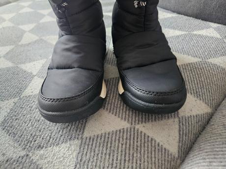 Snehule sorel, sorel,28