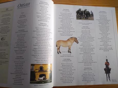 Obrazová encyklopedie koní (česky) - 20 eur,