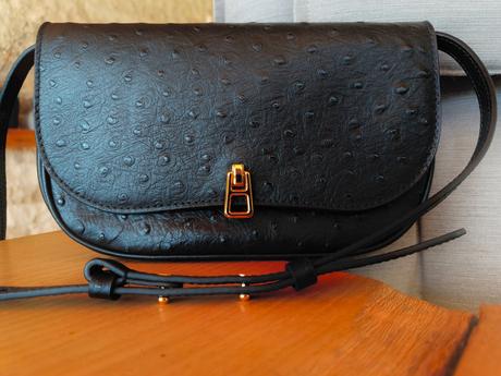 Coccinelle magie ostrich noir, coccinelle