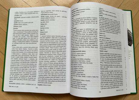 Mexická kuchyně-michael dobromil klíma za 5eur,