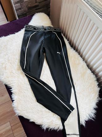 Puma legíny, puma,s