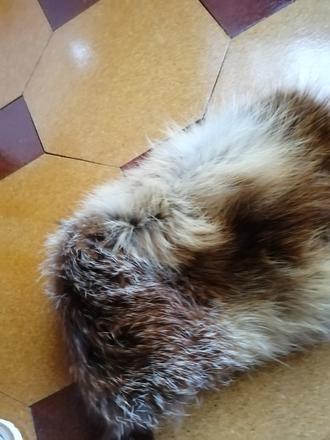 Kozusinova čiapka, xs