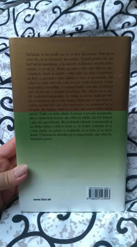 Danielle steel - južné svetlá,