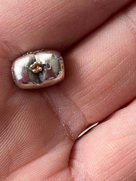 Pandora bicolor srdiecko, pandora