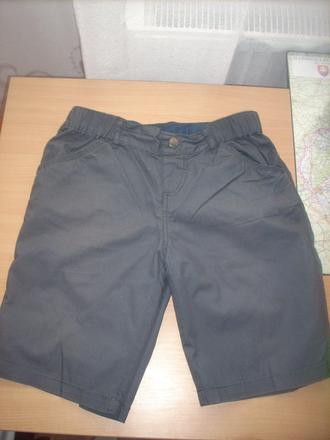 Trištvrťáky, dognose,152