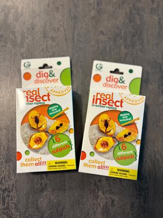 Geoworld - vykop a objav pavúk a mravec, 