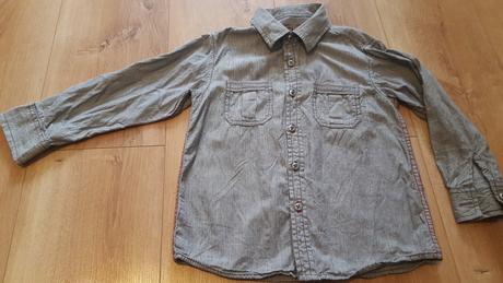 Pruhovaná kosela, rebel,104